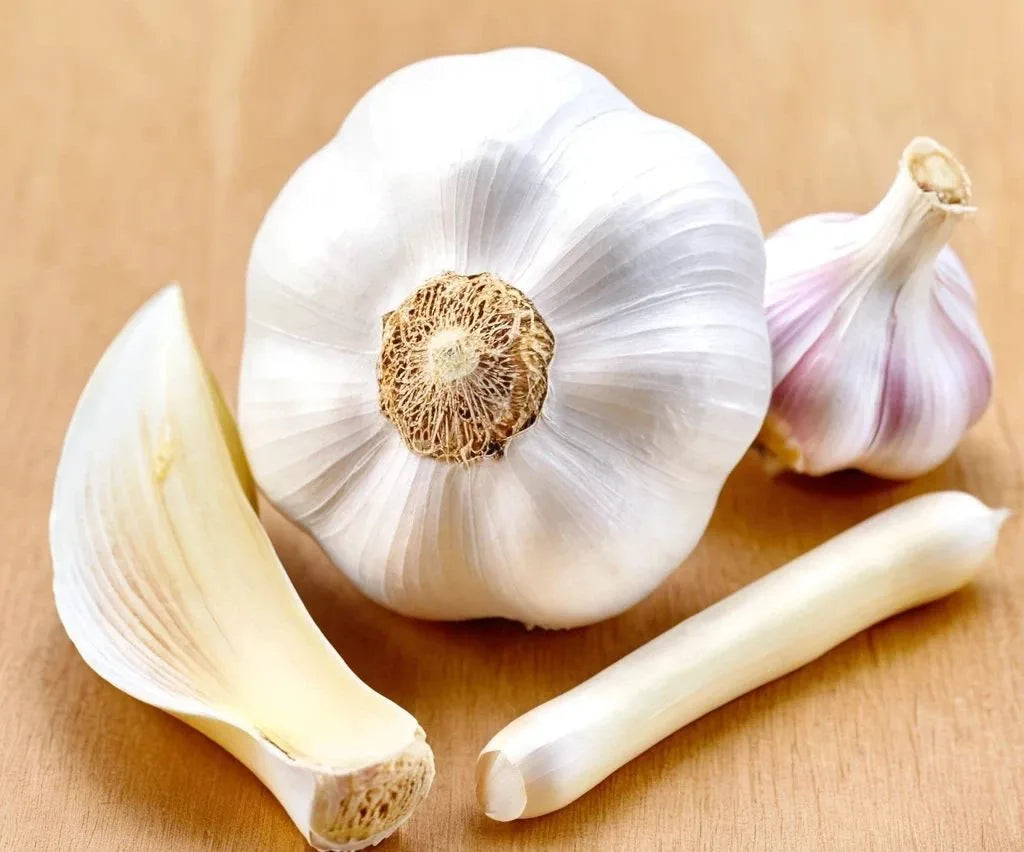 Descubre el poder combinado del ajo, glucosamina, cartílago de tiburón y colágeno hidrolizado para la salud articular.